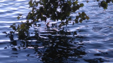 Reflets sur le lac