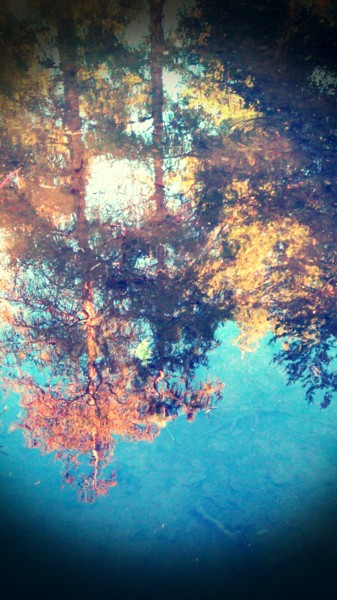 Reflets d'automne