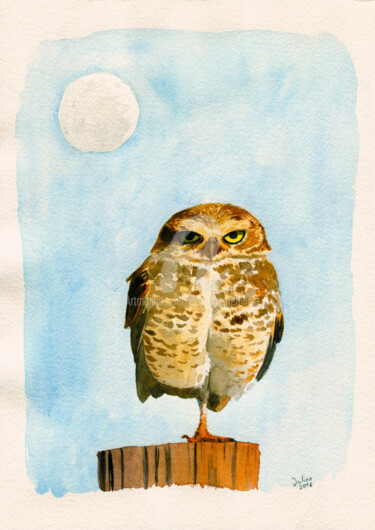Peinture intitulée "Coruja buraqueira" par Julien Cachemaille, Œuvre d'art originale, Aquarelle