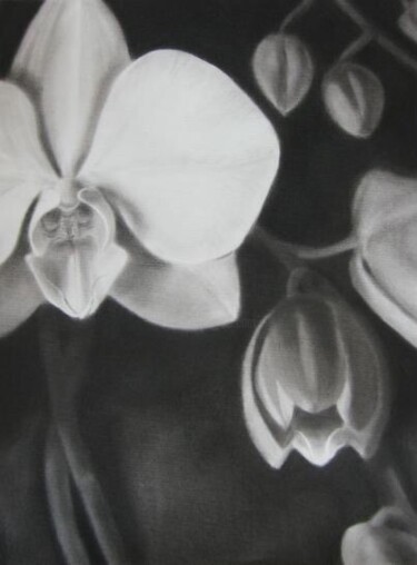"Orchid" başlıklı Resim Anyck Alvarez Kerloch tarafından, Orijinal sanat, Karakalem