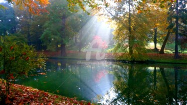 Un matin d'automne