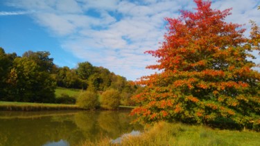 Quercy Flamboyant 1