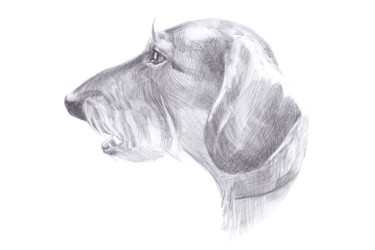 Рисунок под названием "The head of the dog…" - Cococinema, Подлинное произведение искусства, Карандаш