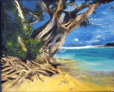 arbre-et-branchages-sur-la-plage.jpg