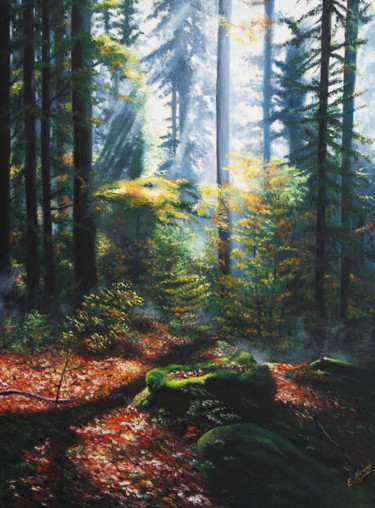 Waldlicht