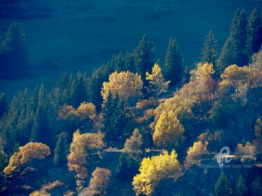 Automne Beaufortain Photographie intitulée "Automne Beaufortain" par Jean-Michel Liewig, Œuvre d'art originale