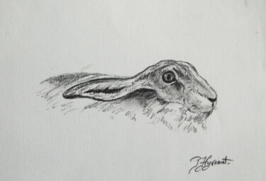 lievre étude a la pierre noire - original signé Dessin intitulée "lievre étude a la p…" par Patricia Giroldini Hyvernat, Œuvre d'art originale, Graphite