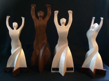 trophées mérite sportif 2016
