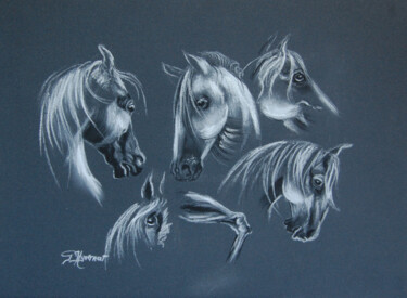 「étude chevaux  - de…」というタイトルの描画 Patricia Giroldini Hyvernatによって, オリジナルのアートワーク, チョーク