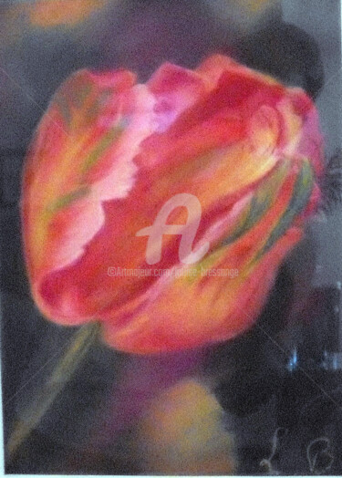 tulipe-rouge.jpg