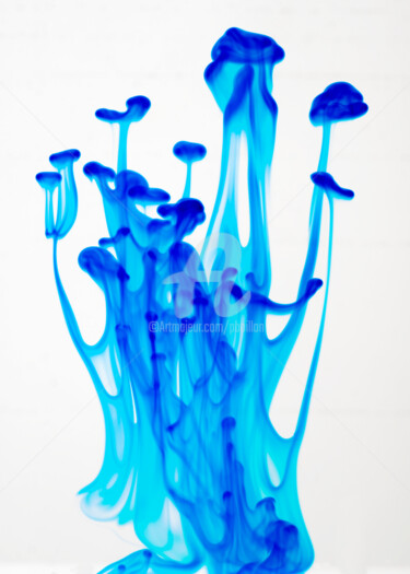 제목이 "Méduses bleues"인 사진 Pierre Boillon로, 원작, 디지털