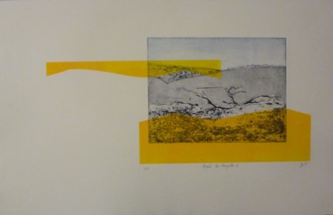 Printmaking titled "Après la tempête 2" by Brigitte Bibard-Guillon, Original Artwork, Etching
