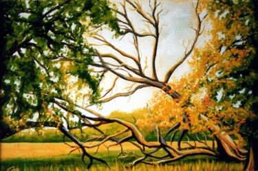 绘画 标题为“Autumn in Danish Na…” 由Dan Civa, 原创艺术品, 油