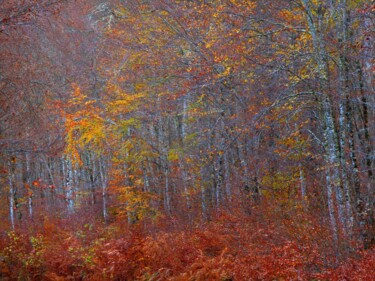Photography titled "Painting...........…" by Philippe Berthier, Original Artwork, Digital Photography