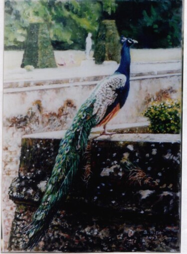 Peinture intitulée "le-paon-du-château-…" par Brigitte With, Œuvre d'art originale, Huile