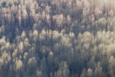 Photography titled "Cheust........." by Philippe Berthier, Original Artwork, Digital Photography