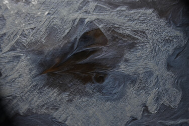 Photography titled "Float" by Elke Matthaeus, Original Artwork