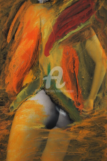绘画 标题为“Colored bird” 由Erwin Bruegger, 原创艺术品, 操纵摄影