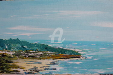 Peinture intitulée "la-petite-crique.jpg" par Didier Duclos, Œuvre d'art originale, Acrylique