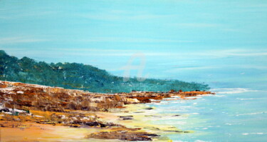 Peinture intitulée "la-petite-plage.jpg" par Didier Duclos, Œuvre d'art originale, Acrylique