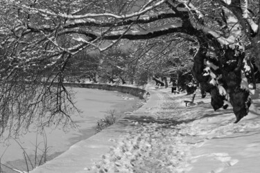 Tidal Basin in Winter 1 Photography titled "Tidal Basin in Wint…" by Elke Matthaeus, Original Artwork
