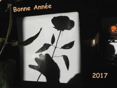 Photographie intitulée "bonne-année 2017" par Alain Brasseur, Œuvre d'art originale