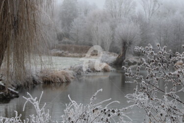 Photographie intitulée "img-3748.jpg" par Didier Duclos, Œuvre d'art originale