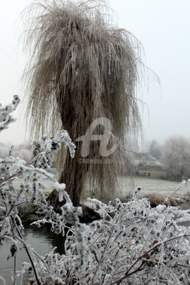 Photographie intitulée "20.jpg" par Didier Duclos, Œuvre d'art originale