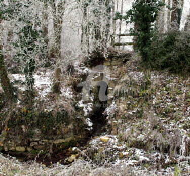 Photographie intitulée "23.jpg" par Didier Duclos, Œuvre d'art originale