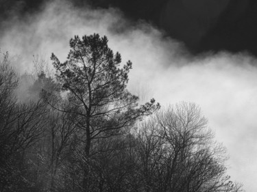Photographie intitulée "Jour de brumes." par Alain Brasseur, Œuvre d'art originale