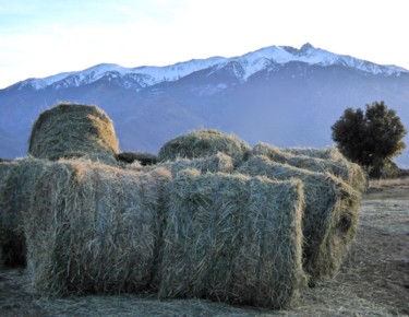 Photographie intitulée "Canigou 1" par Jean Paul Rosso, Œuvre d'art originale