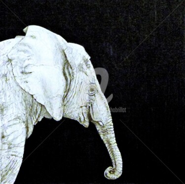 Dessin intitulée "L'éléphant 3" par Laurent Chabrillat, Œuvre d'art originale, Marqueur