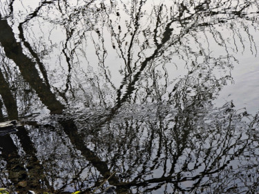 Photographie intitulée "Reflets d'hiver." par Alain Brasseur, Œuvre d'art originale