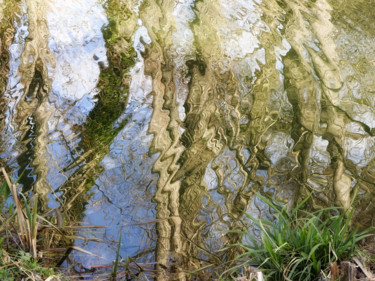 Photographie intitulée "Réflexions d'hiver.…" par Alain Brasseur, Œuvre d'art originale