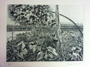 Printmaking titled "Paesaggio" by Basilio Dipani, Original Artwork, Etching