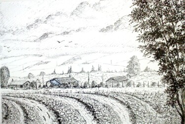 Dessin intitulée "Paysage de sens(89)" par Charles Corbin, Œuvre d'art originale, Encre