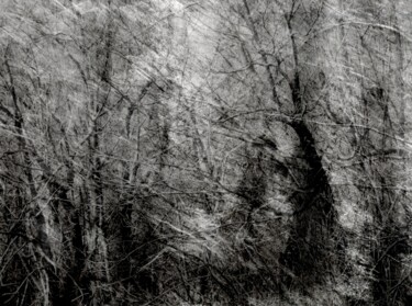 摄影 标题为“Contre-Défragmentat…” 由Philippe Berthier, 原创艺术品, 操纵摄影