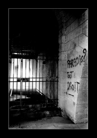 "Photographie argent…" başlıklı Fotoğraf Picrate tarafından, Orijinal sanat