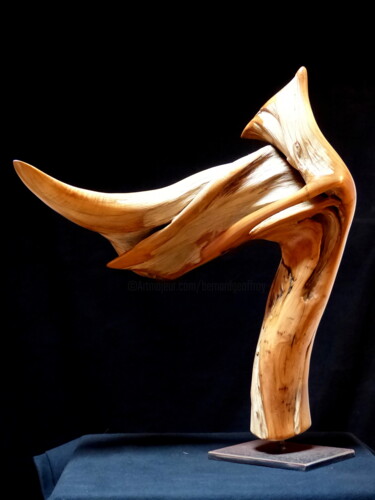 Sculpture intitulée "Epervier" par Bernard Geoffroy, Œuvre d'art originale, Bois