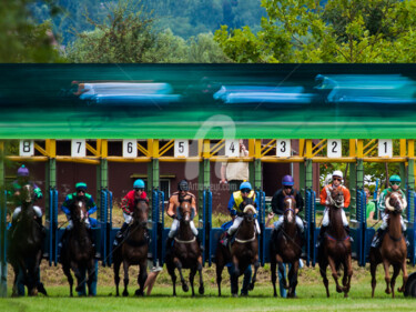 Fotografía titulada "HORSE RACING" por Jb Photoart, Obra de arte original