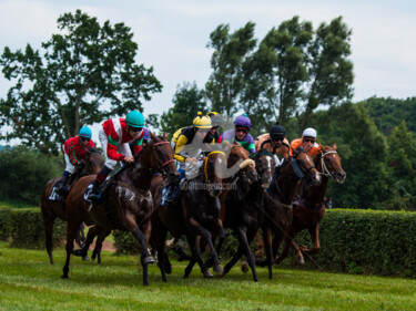 Fotografía titulada "HORSE RACING 1" por Jb Photoart, Obra de arte original