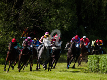 Fotografía titulada "HORSE RACING 12" por Jb Photoart, Obra de arte original