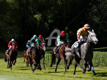 Fotografía titulada "HORSE RACING 13" por Jb Photoart, Obra de arte original