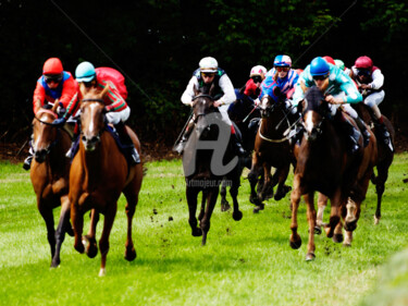 Fotografía titulada "HORSE RACING 11" por Jb Photoart, Obra de arte original