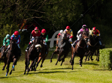 Fotografía titulada "HORSE RACING 9" por Jb Photoart, Obra de arte original