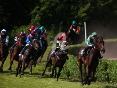 Fotografía titulada "HORSE RACING 10" por Jb Photoart, Obra de arte original
