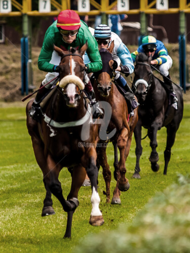 Fotografía titulada "HORSE RACING 14" por Jb Photoart, Obra de arte original