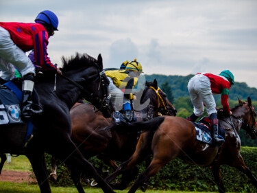 Fotografía titulada "HORSE RACING 6" por Jb Photoart, Obra de arte original