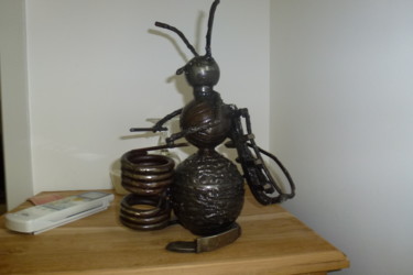 Sculpture intitulée "phpbn8ujy.jpg" par Christian Canivenc, Œuvre d'art originale, Métaux