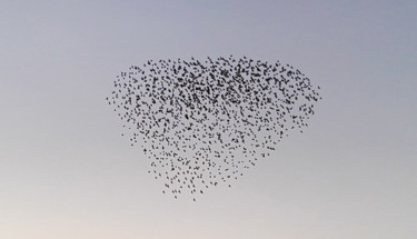 Photographie intitulée "AMOUR" par Fanny Touchet, Œuvre d'art originale